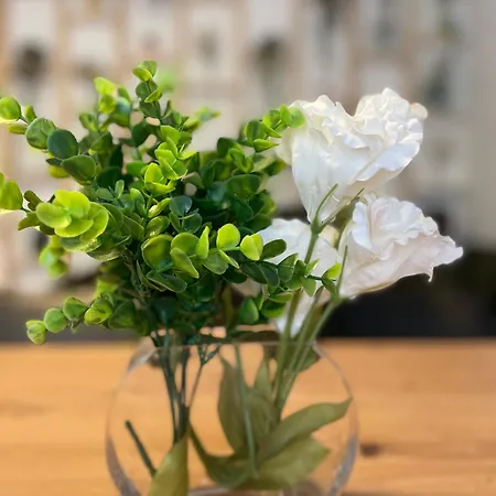 Blick Auf Kirche Apartament *