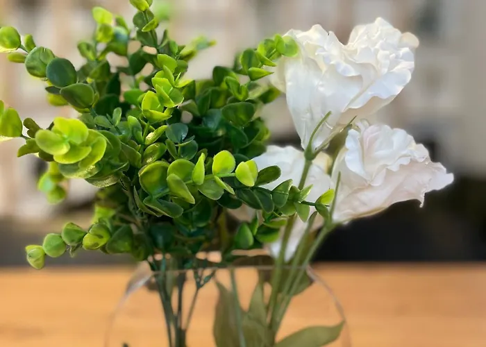 Blick Auf Kirche Apartment *